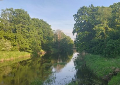 działka na sprzedaż - Góra (gw), Wierzowice Małe